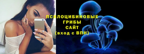героин Алексин