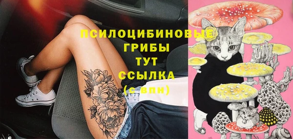 героин Алексин